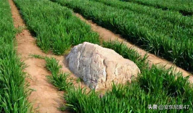 世界上最小的山是叫什么名字(世界上最小的山叫什么名字)