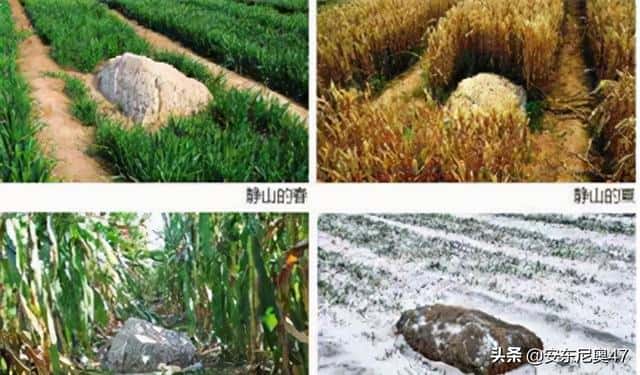 世界上最小的山是叫什么名字(世界上最小的山叫什么名字)