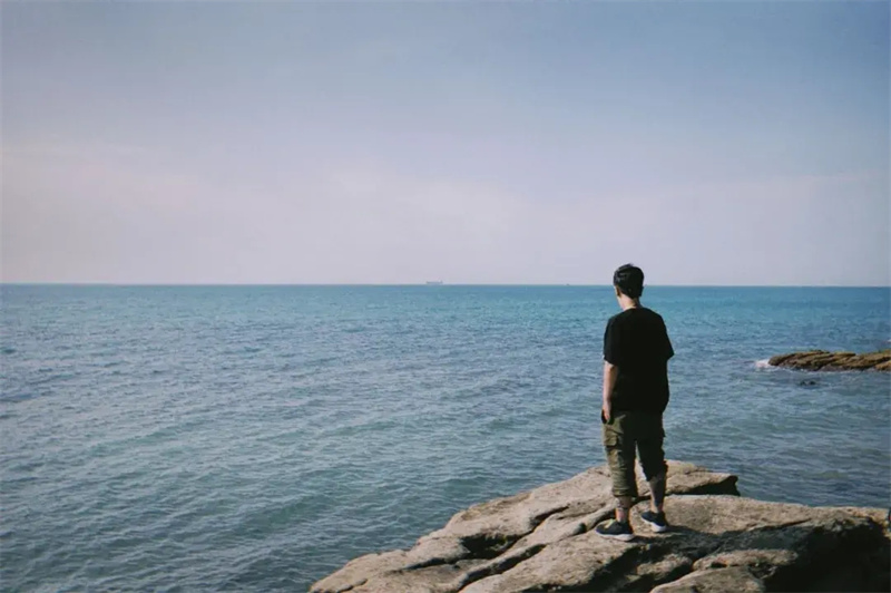 人间失格讲的是什么内容(人间失格告诉了我们什么道理)