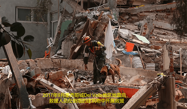 容易发生地震的城市有哪些(12个最易受地震影响的城市)
