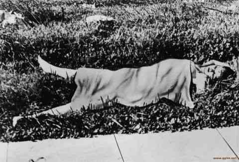 “黑色大丽花”事件完整版(惨案真相背后的故事)