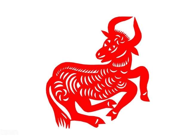 属羊的有什么特点-(属羊有什么优点和缺点)