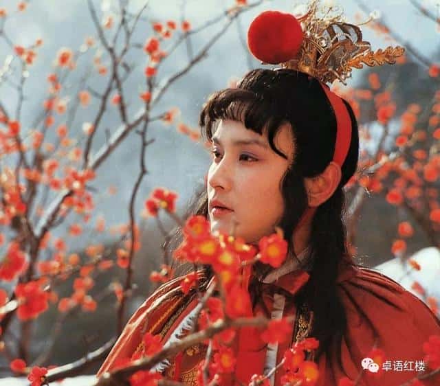 红楼梦中贾宝玉的性格是什么(贾宝玉的性格特点分析)