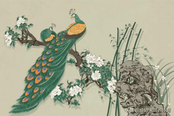 孔雀东南飞原文共多少字(孔雀东南飞多少字)