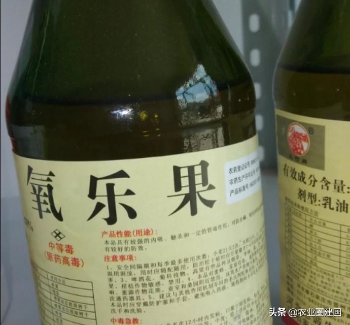 怎样去除室内果蝇（室内果蝇如何驱赶消灭）