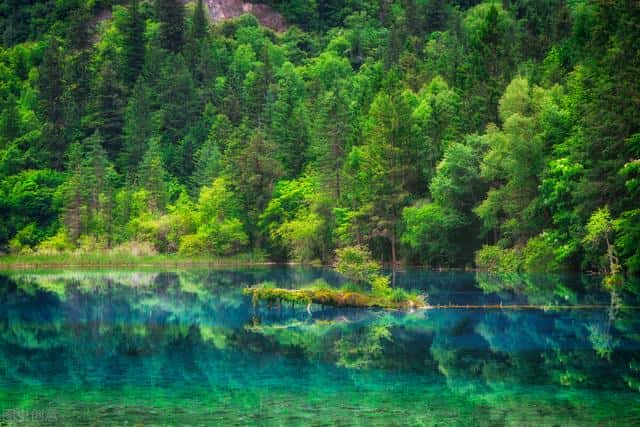 国内最值得去的十大旅游胜地（国内旅游必去的十大地方排名）