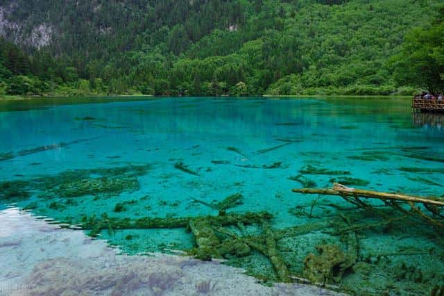 国内最值得去的十大旅游胜地（国内旅游必去的十大地方排名）