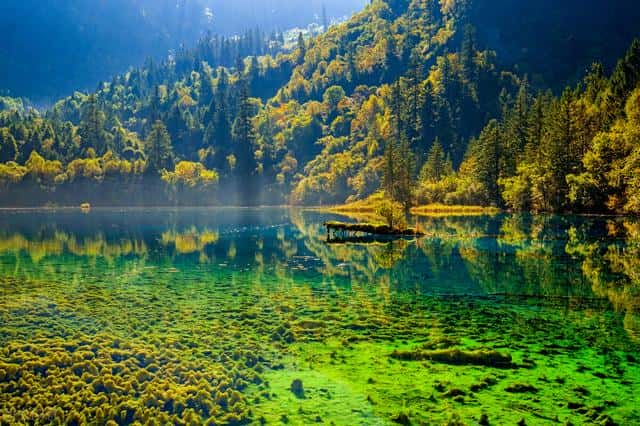 国内最值得去的十大旅游胜地（国内旅游必去的十大地方排名）