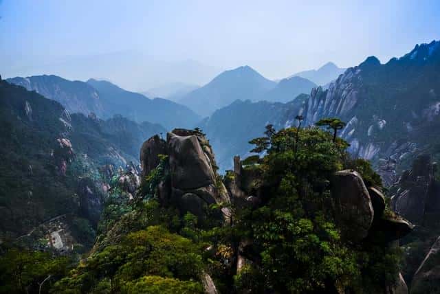 华南虎灭绝了没有-（华南虎灭绝了吗）