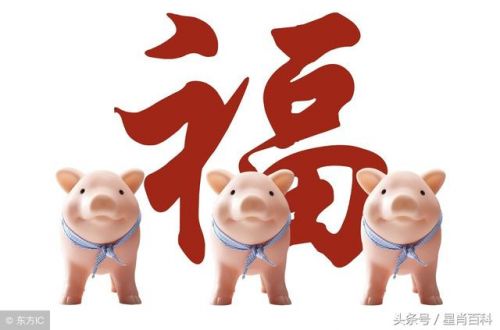 察言观色打一生肖是什么生肖(察言观色最佳生肖)-第1张图片-