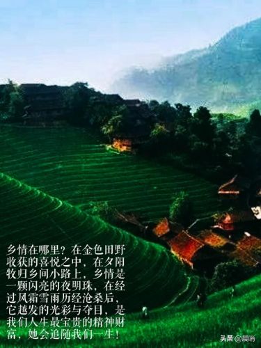 abstract写什么(abstract包含什么)-第2张图片-