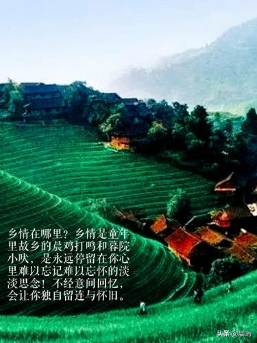 abstract写什么(abstract包含什么)-第1张图片-