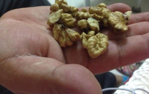 爸爸吃着我的小核桃 历史网(爸爸吃着我的小核桃乖宝)-第1张图片-