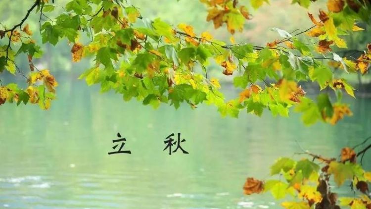 突然说立秋了什么意思