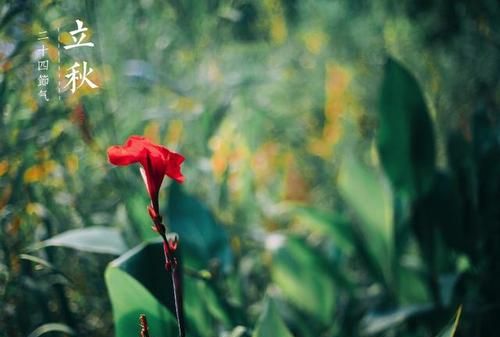 几时立秋是什么意思