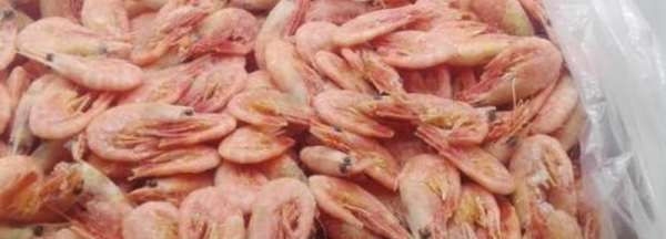 虾干怎么保存,干虾放冷冻还是冷藏图1