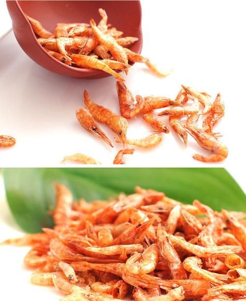 干虾放冷冻还是冷藏