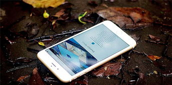 如何用手机赚钱,怎样用手机赚钱最快的软件图5