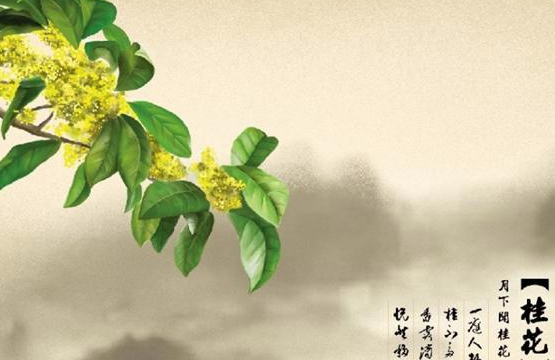 夏天六月开什么花,七月最具代表性的花图10